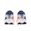 Picture of 1080v15 Sea Salt/Blue Oyster
