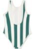 Picture of Cevoli Aop Striped Swimsuit