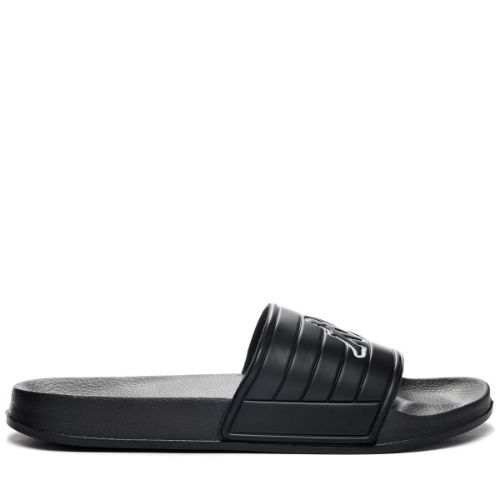 Picture of Noles Slides