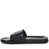 Picture of Noles Slides