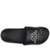 Picture of Noles Slides