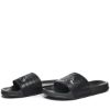 Picture of Noles Slides
