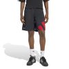 Picture of Adicolor Blocked Shorts