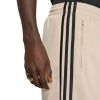 Picture of Firebird Shorts
