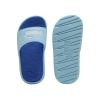 Picture of Cool Cat 2.0 Ps Bx Slides