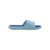 Picture of Cool Cat 2.0 Ps Bx Slides