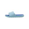 Picture of Cool Cat 2.0 Ps Bx Slides