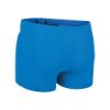 Picture of Team Swim Shorts