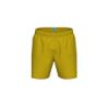 Picture of BywayX Beach Shorts