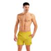 Picture of BywayX Beach Shorts