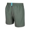 Picture of Fundamentals Logo Swim Boxers