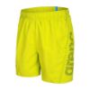 Picture of Fundamentals Logo Swim Boxers