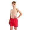 Picture of Fundamentals Logo Junior Swim Boxers