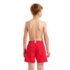 Picture of Fundamentals Logo Junior Swim Boxers