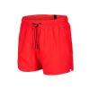 Picture of Evo Beach Shorts