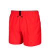 Picture of Evo Beach Shorts