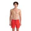 Picture of Evo Beach Shorts