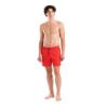 Picture of Evo Beach Shorts