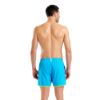 Picture of Big Logo Beach Shorts