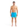 Picture of Big Logo Beach Shorts