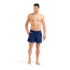 Picture of Big Logo Beach Shorts