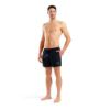 Picture of Big Logo Beach Shorts