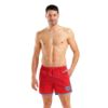 Picture of Big Logo Beach Shorts