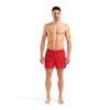 Picture of Big Logo Beach Shorts