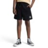 Picture of Boys Cnvb Ultimate Essential Dctp Shorts