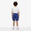 Picture of Boys Ultimate Essential Dctp Shorts
