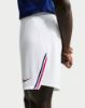Picture of FFF 2026 Stadium Home Shorts