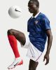 Picture of FFF 2026 Stadium Home Shorts