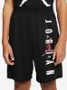 Picture of Boys Jordan Vert Mesh Shorts