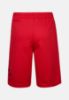 Picture of Boys Jordan Jumpman Wrap Mesh Shorts