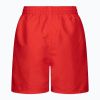 Picture of Boys 4 Volley Shorts