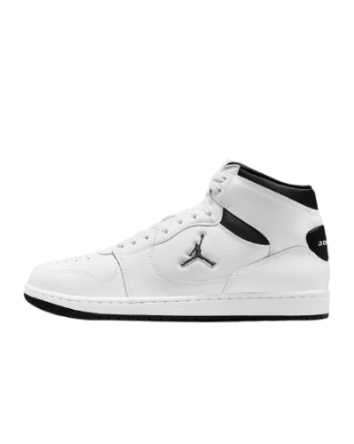 Picture of Jordan Court Connect Mid Shoes