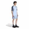 Picture of Teamgeist Adicolor Shorts