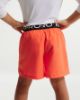 Picture of Boys Pro Big Dri-FIT Training Shorts