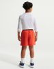 Picture of Boys Pro Big Dri-FIT Training Shorts