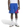Picture of Adicolor Blocked Shorts