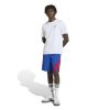 Picture of Adicolor Blocked Shorts