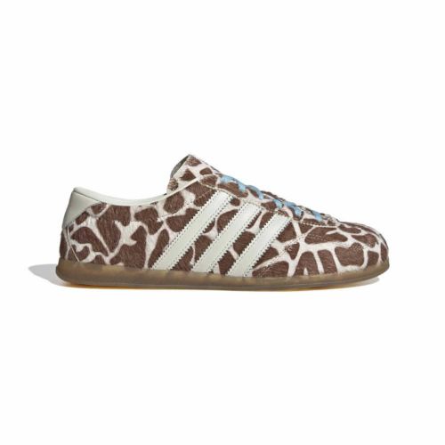 Picture of Gazelle Lo Pro Shoes