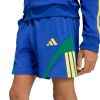Picture of House Of Tiro Nations Pack Shorts