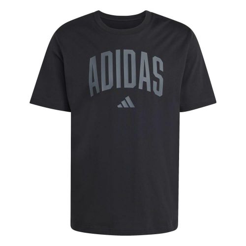 Picture of Collegiate Lineage Graphic T-Shirt