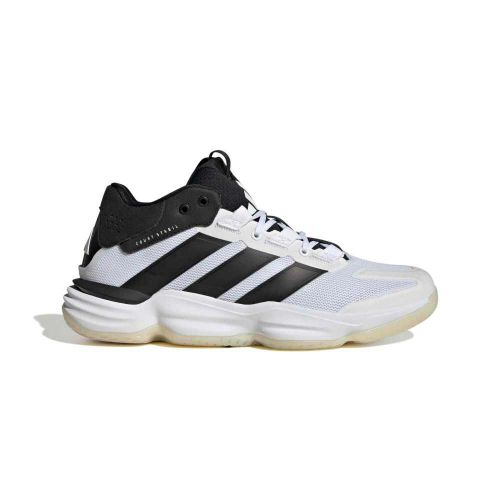 Picture of Court Stabil Indoor Shoes