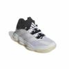 Picture of Court Stabil Indoor Shoes