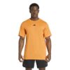 Picture of D4T Essentials T-Shirt