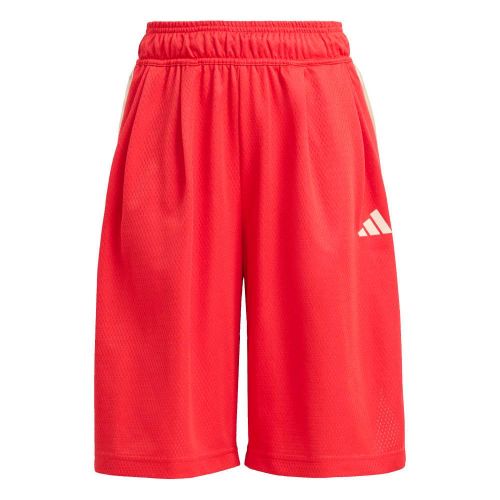 Picture of Kids Stadium Mesh Shorts