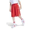 Picture of Kids Stadium Mesh Shorts
