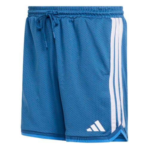 Picture of Stadium Mesh Shorts